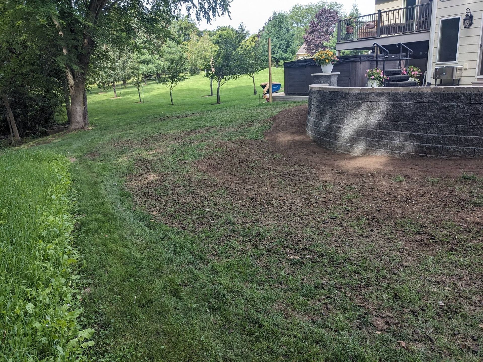 A lush green yard with a brick wall and a house in the background.