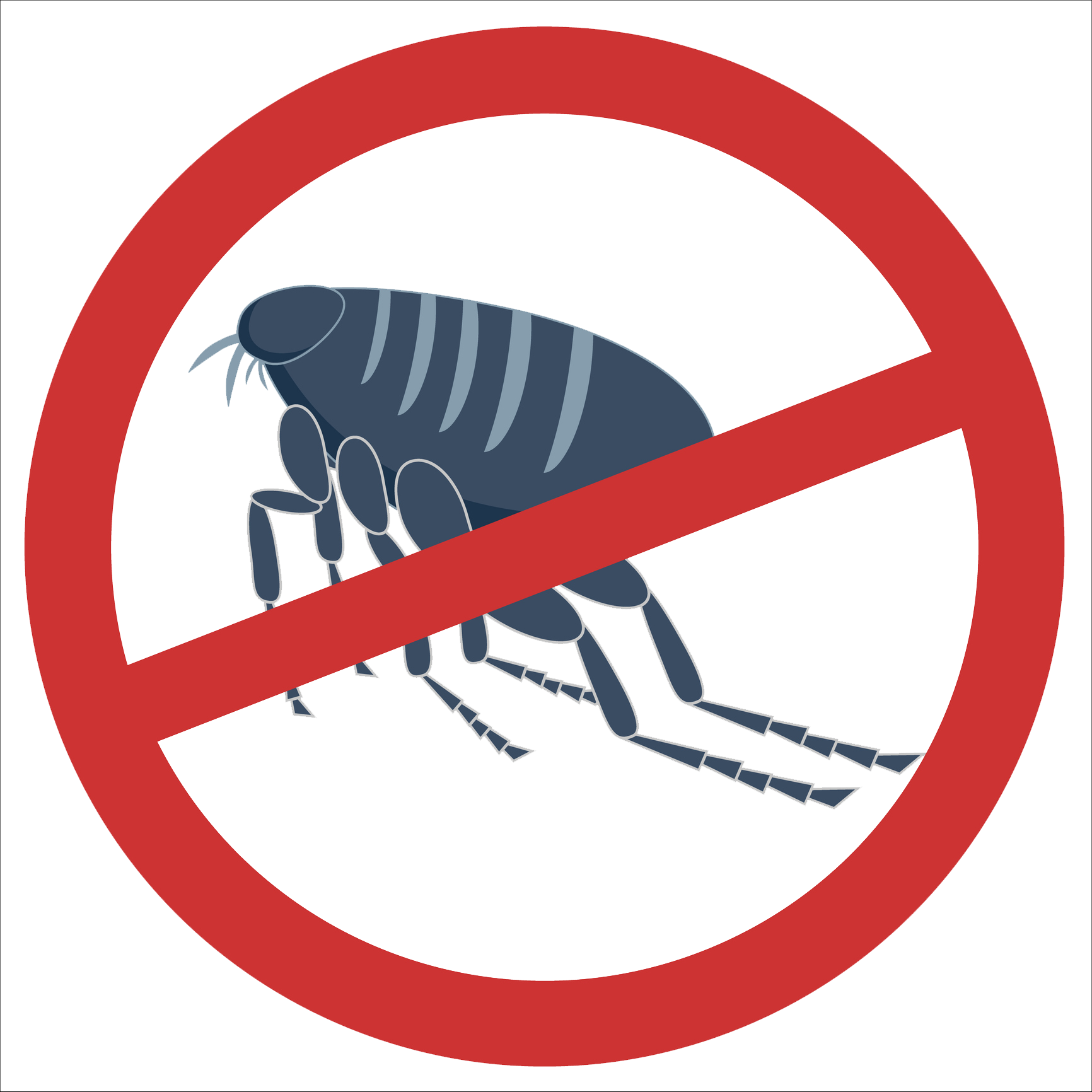 Flea with a red circle and slash, indicating no fleas.