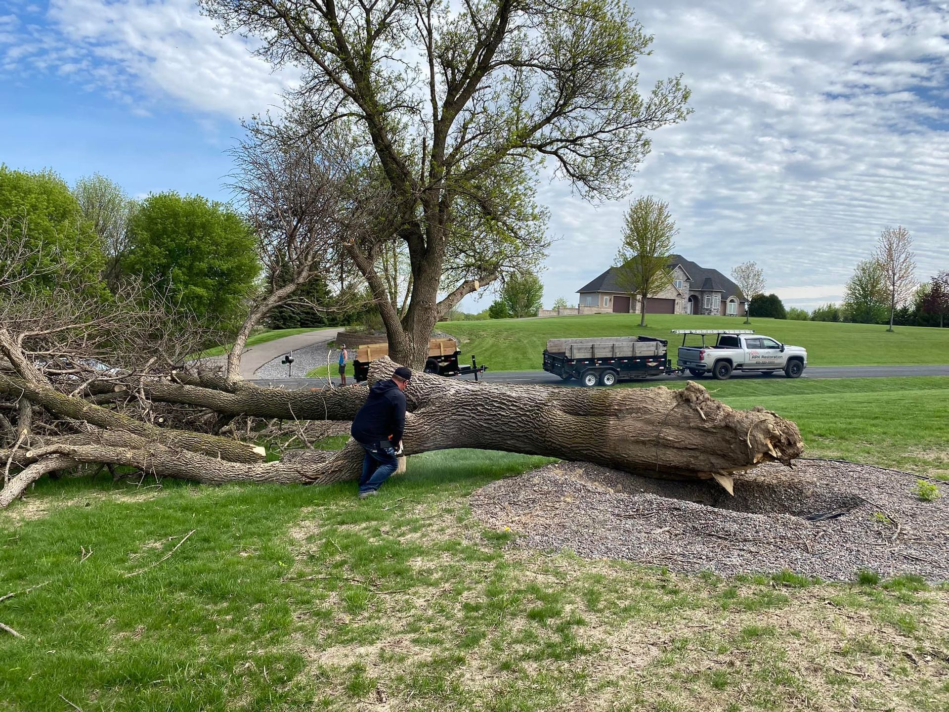 A man is standing next to a large tree trunk in a field.