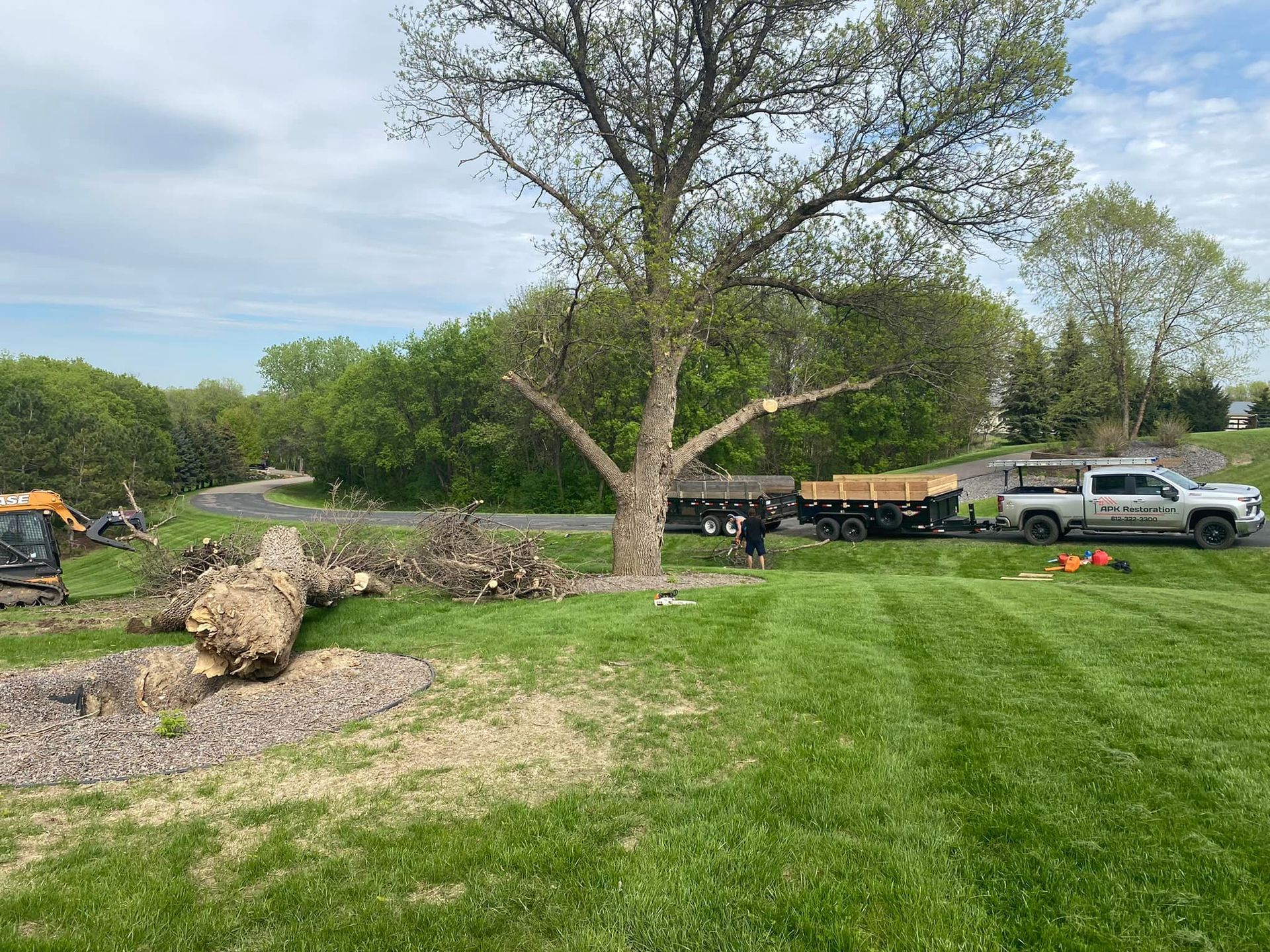 A truck is parked in a grassy field next to a tree.