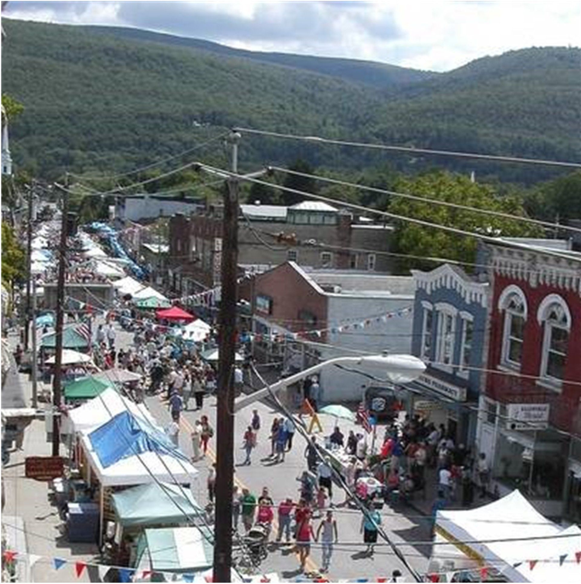 2023 Ellenville Blueberry Festival