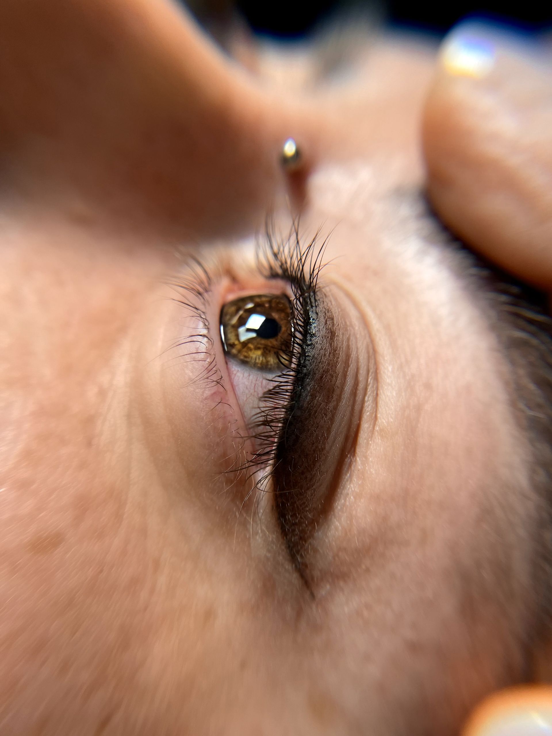 A close up of a woman 's eye with a piercing in it.