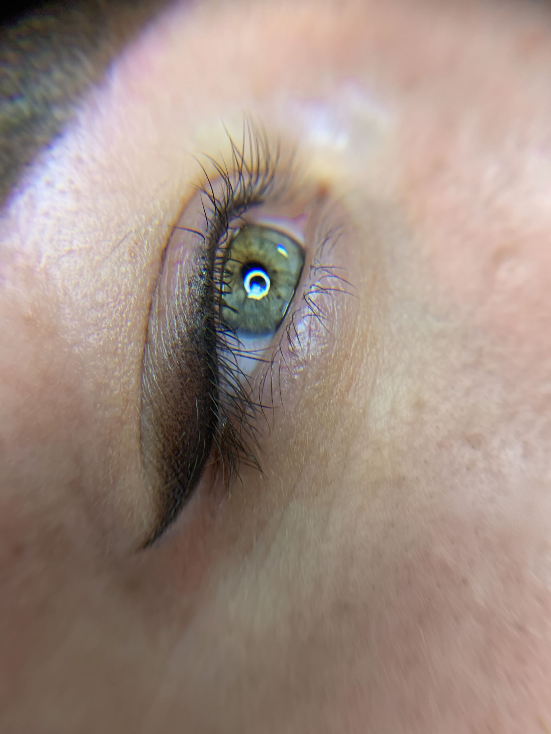 A close up of a woman 's green eye with long eyelashes.