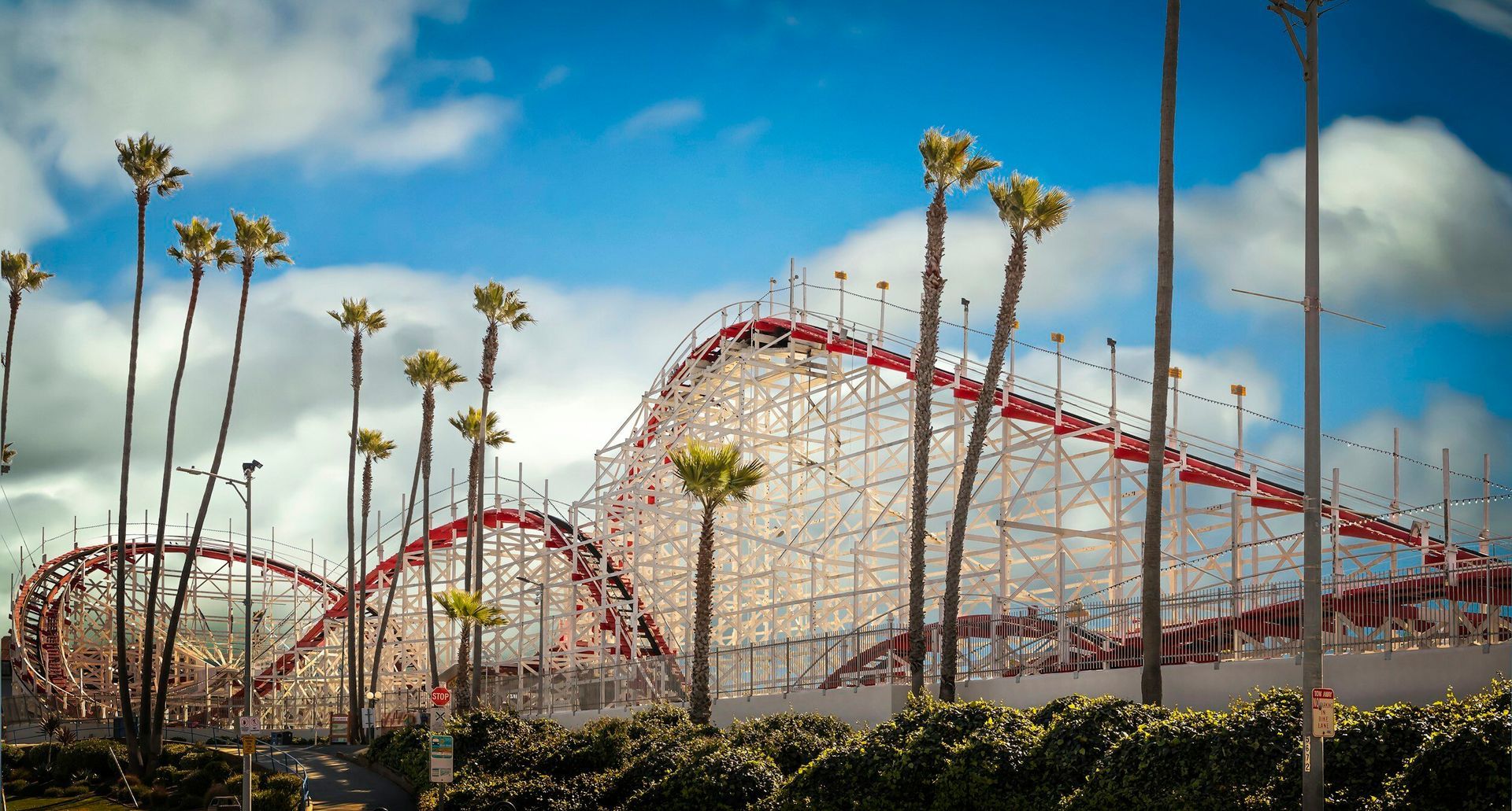 A roller coaster is surrounded by palm trees in an amusement park.