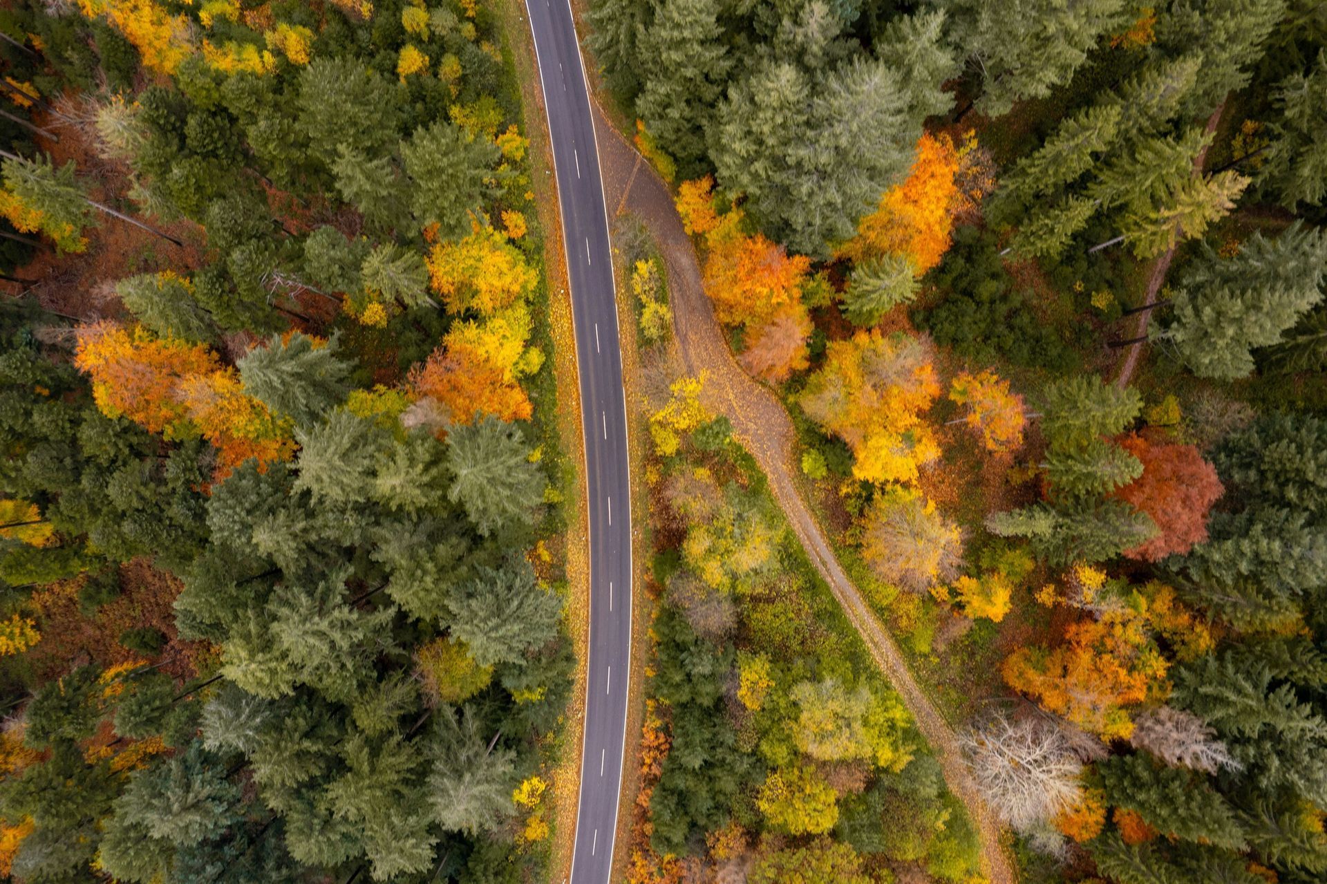 An aerial view of a road in the middle of a forest.