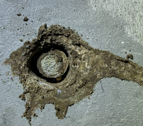 Termites Inside The Hole – Sydney, NSW – Assassin Pest Control