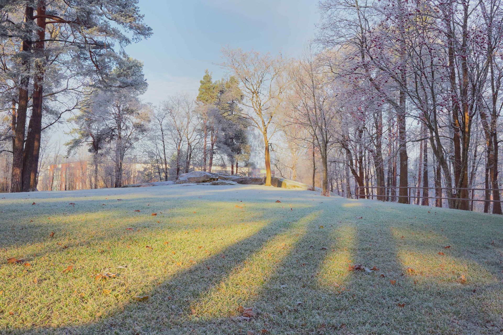 Fall Lawn Spraying Services Rigby ID