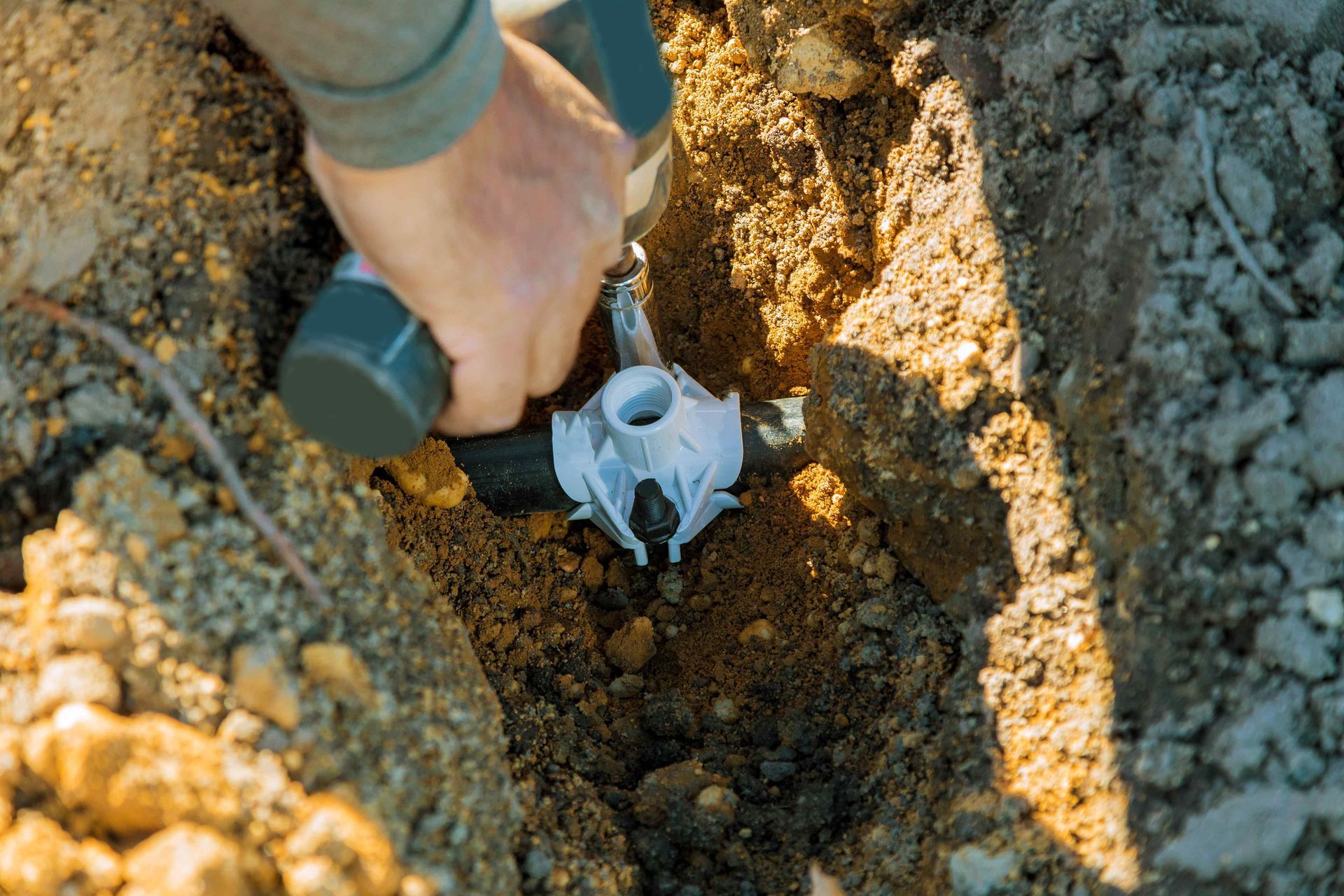 Pest Control Idaho Falls ID