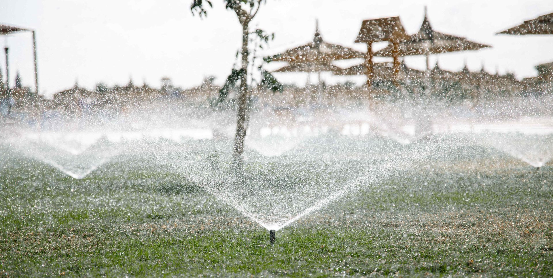 Early Summer Lawn Spraying Service Rexburg ID