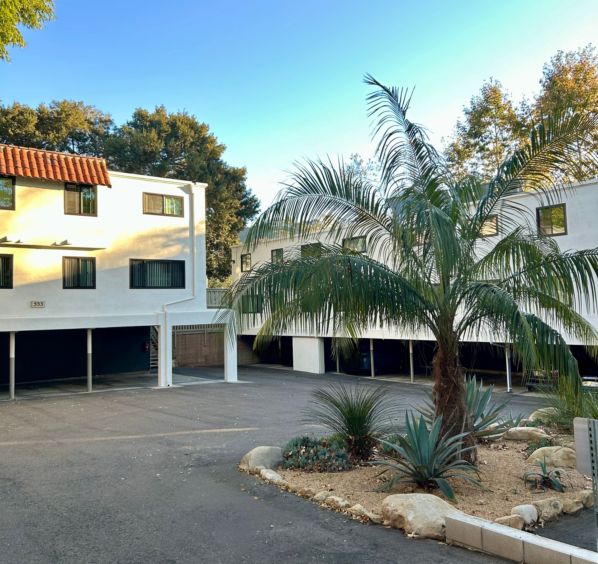 White apartment buildings with elevated first floors, palm tree, and landscaping.