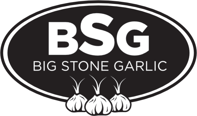 cropped-BSG-logo