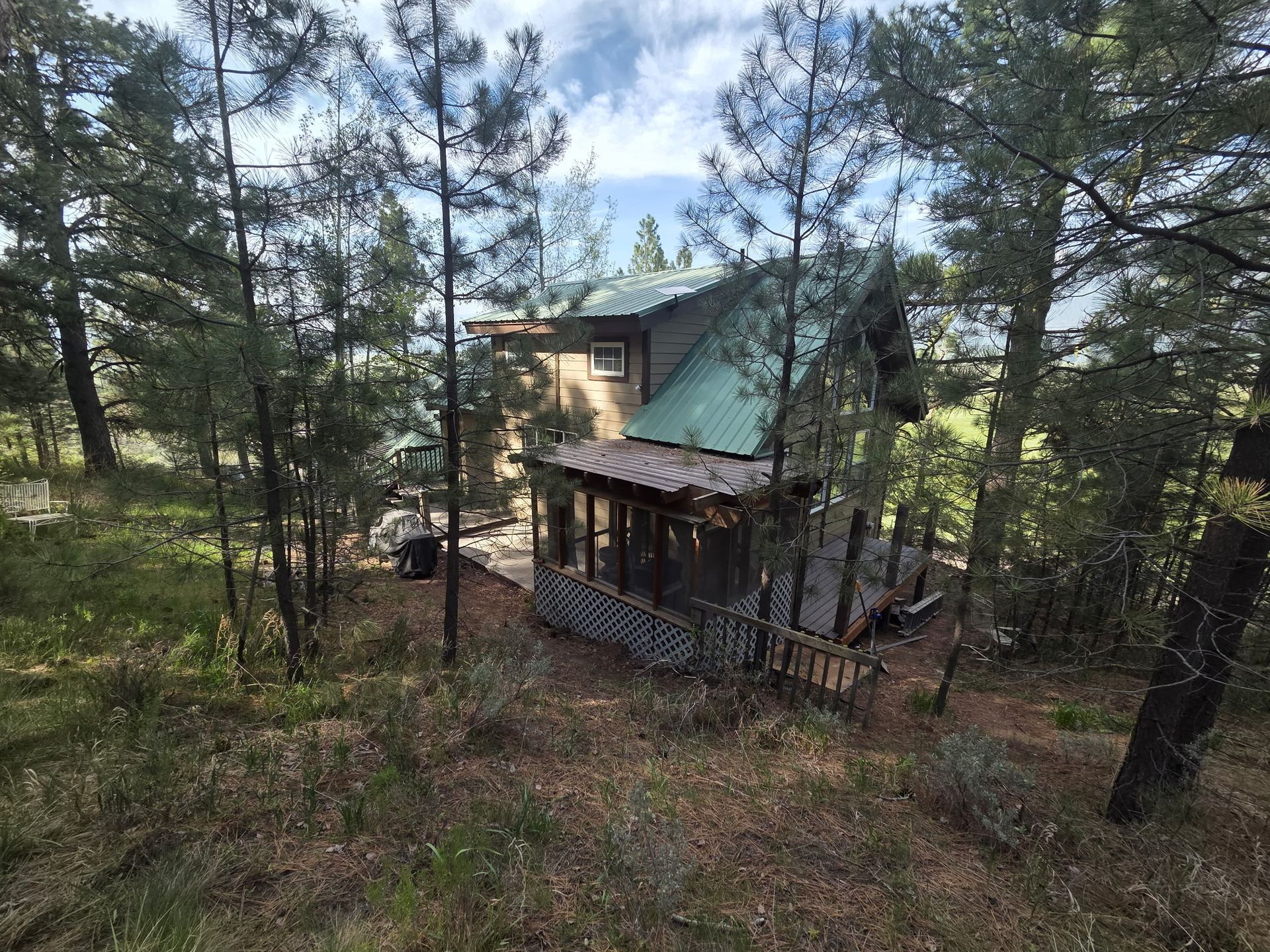 Small cabin with green roof among pine trees in a wooded area