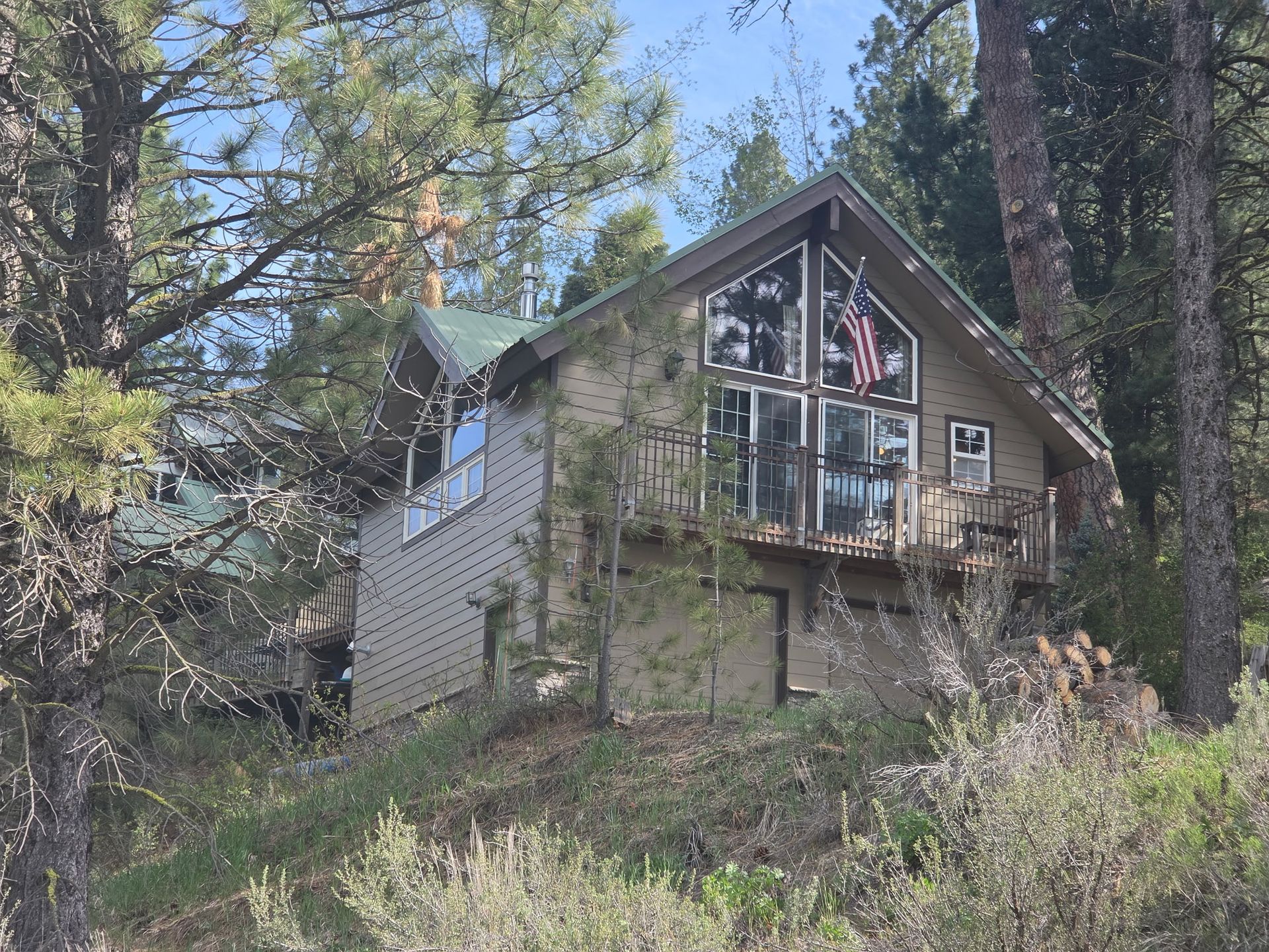 Small A-frame cabin on a wooded hillside with trees and shrubs in the foreground