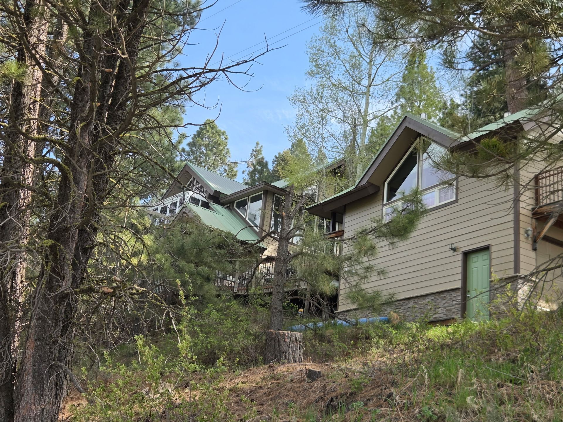 Wooded hillside with cabins and tall trees under a clear blue sky