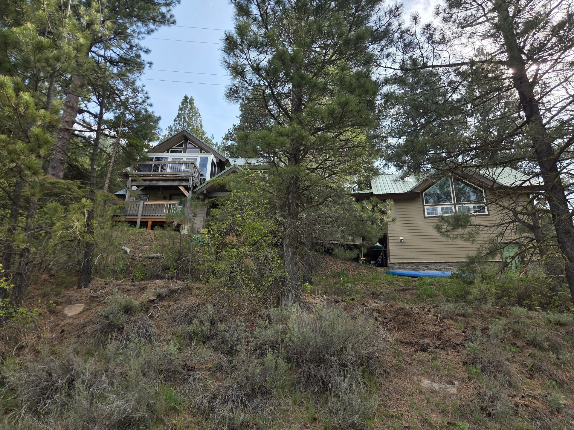 Wooded hillside with two small cabins, pine trees, and a clear blue sky