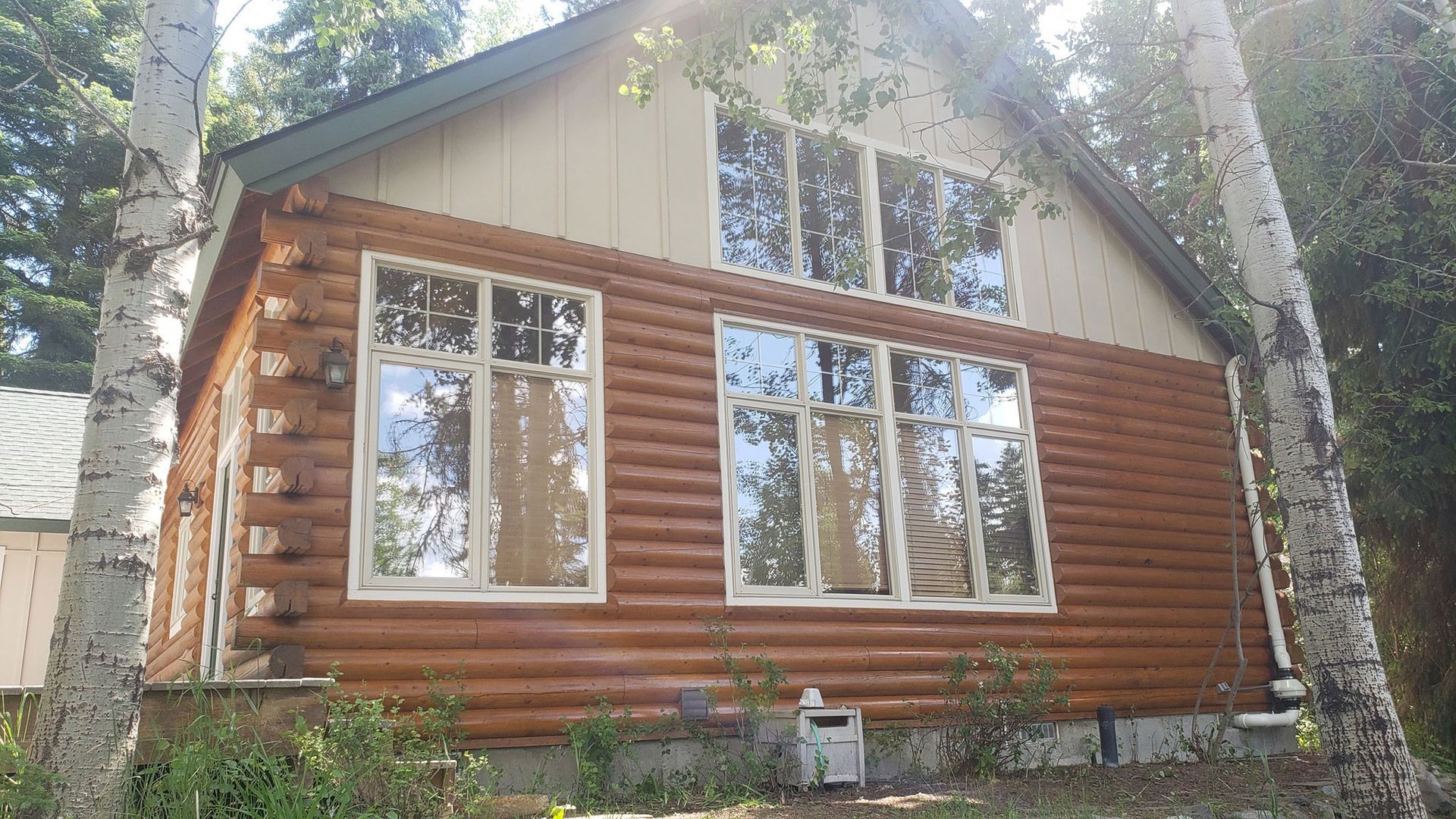 A log cabin with a lot of windows is surrounded by trees.