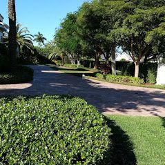 Driveway cleaning services near me - Smart Pressure Washing