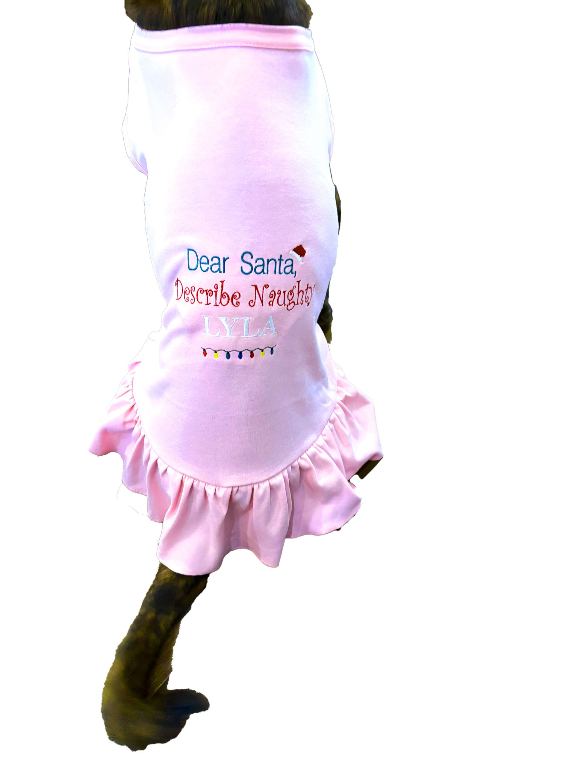 Pet T-Shirt with Dear Santa Message and Name Embroidered.