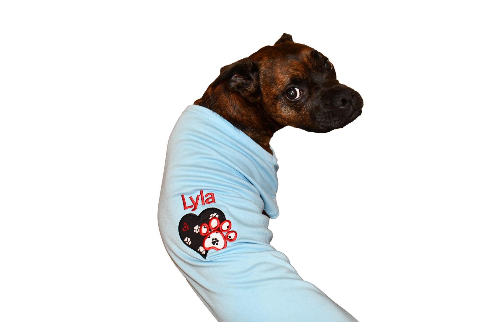 Pet T-Shirt or Dress with Appliqué Heart and Paw plus embroidered name.