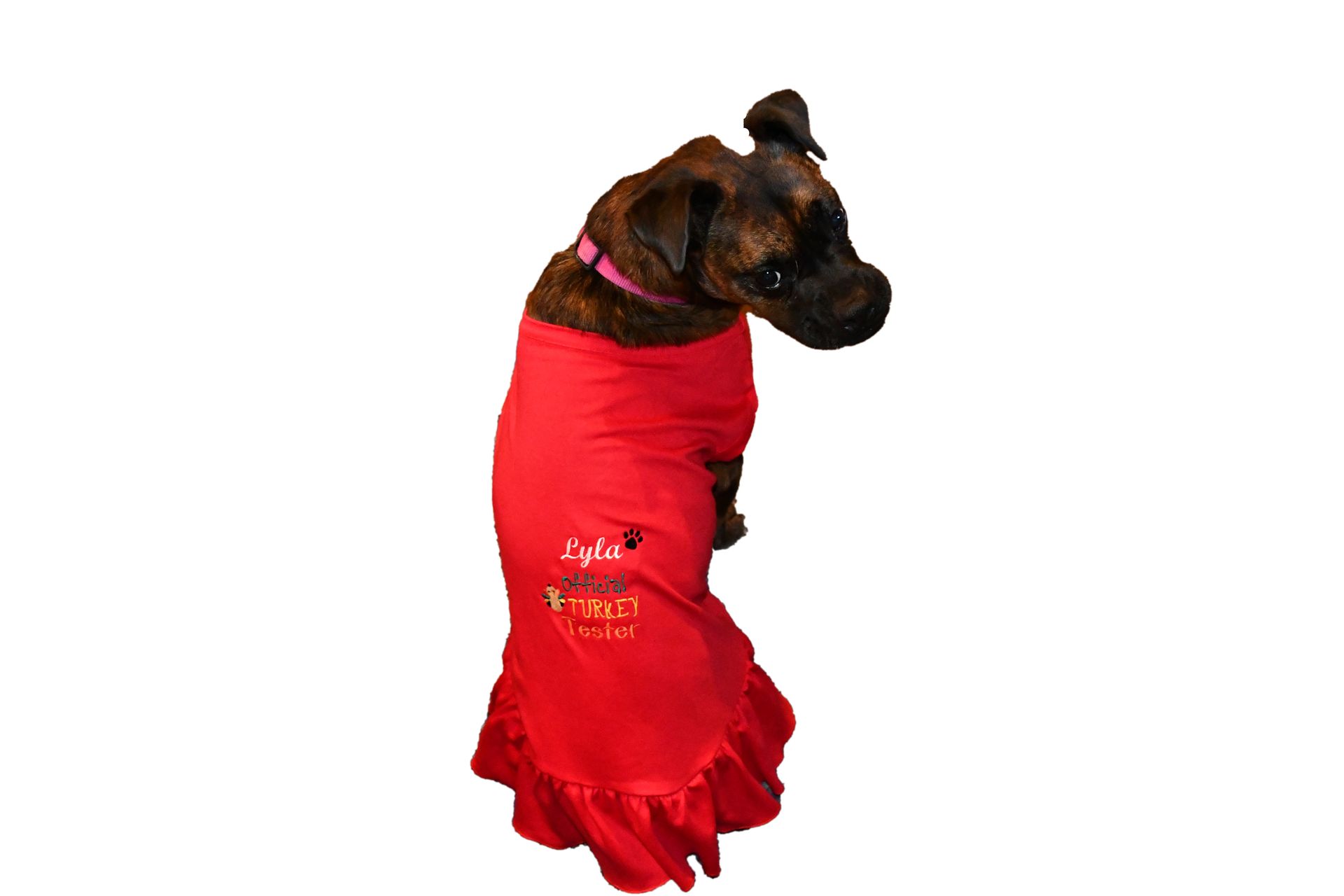 Pet Dress with Thanksgiving Design and name embroidered.