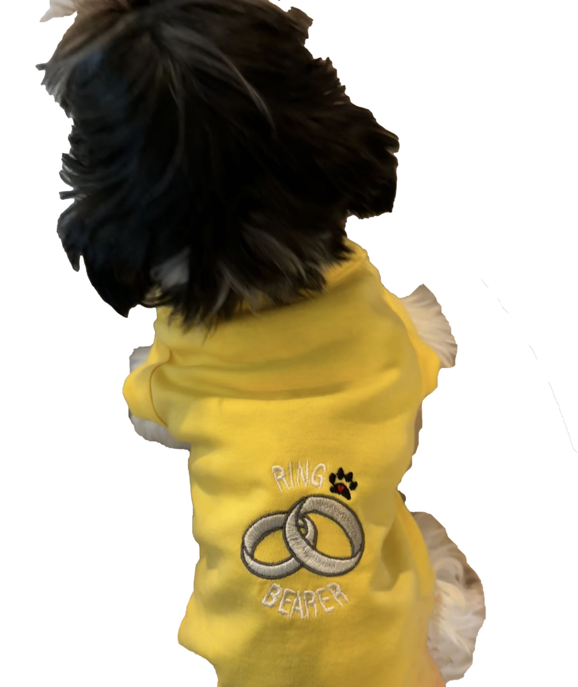 Pet T-Shirt with Ring Bearer embroidered