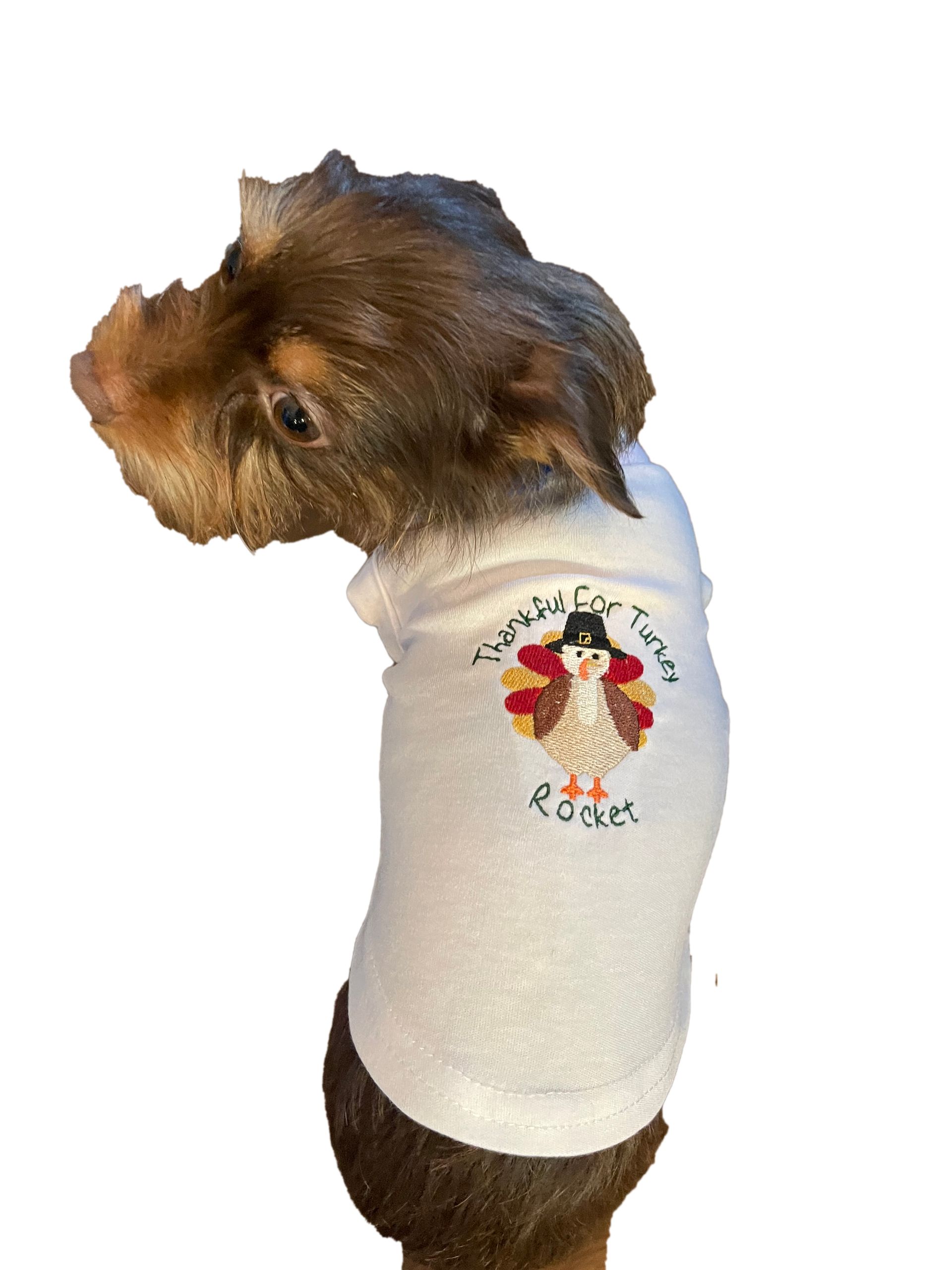 Pet T-Shirt with Thanksgiving Design and name embroidered.