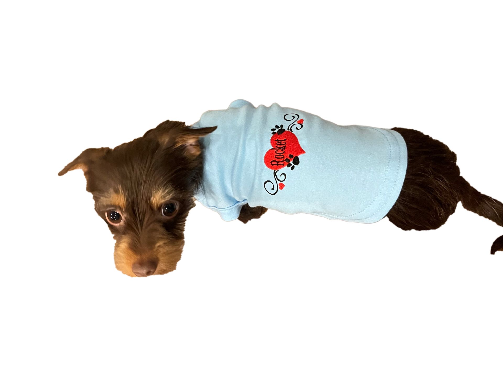 Pet T-shirts with embroidered name and cute design.
