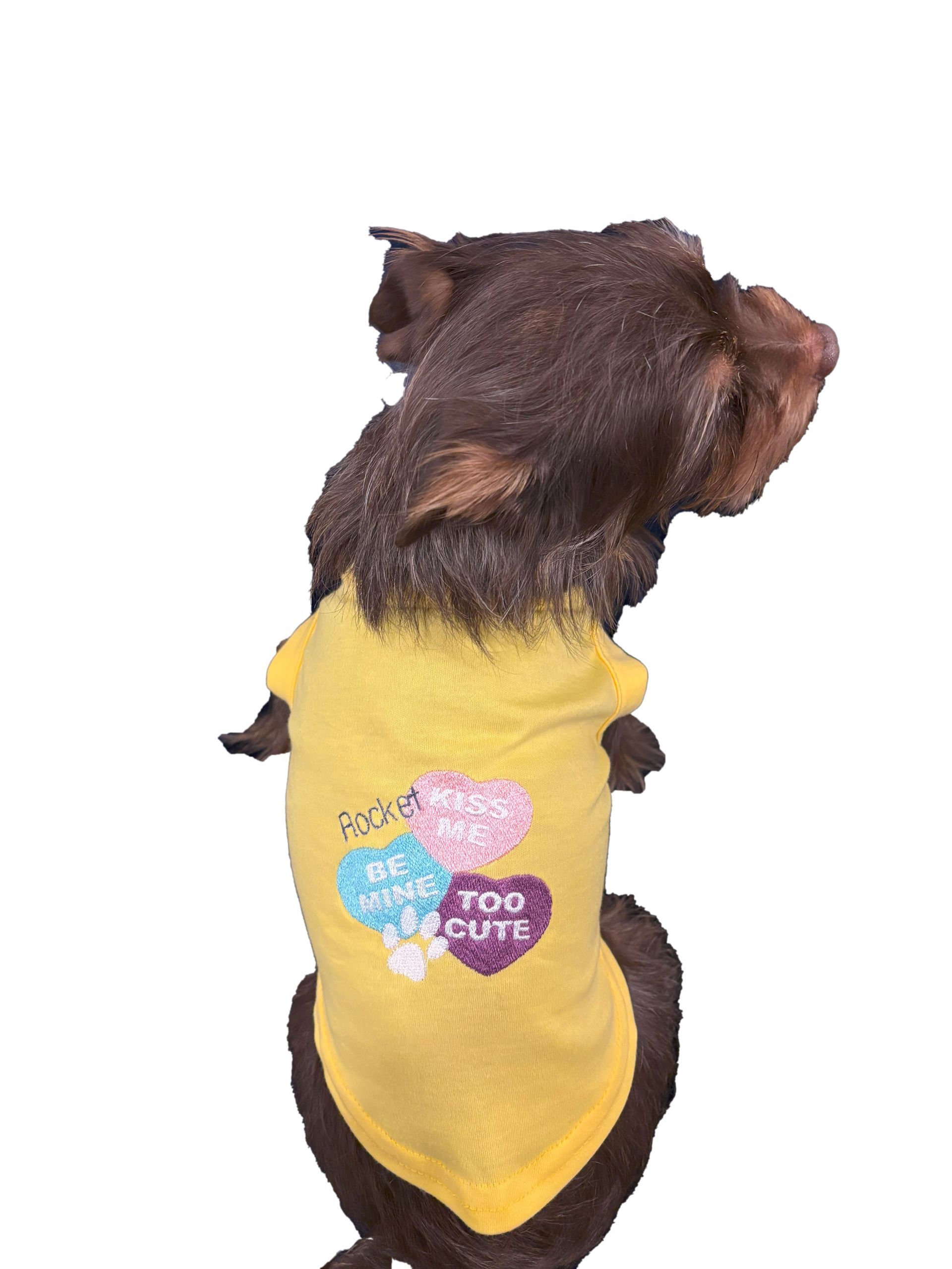 Pet T-Shirt with Valentines Design and Name Embroidered