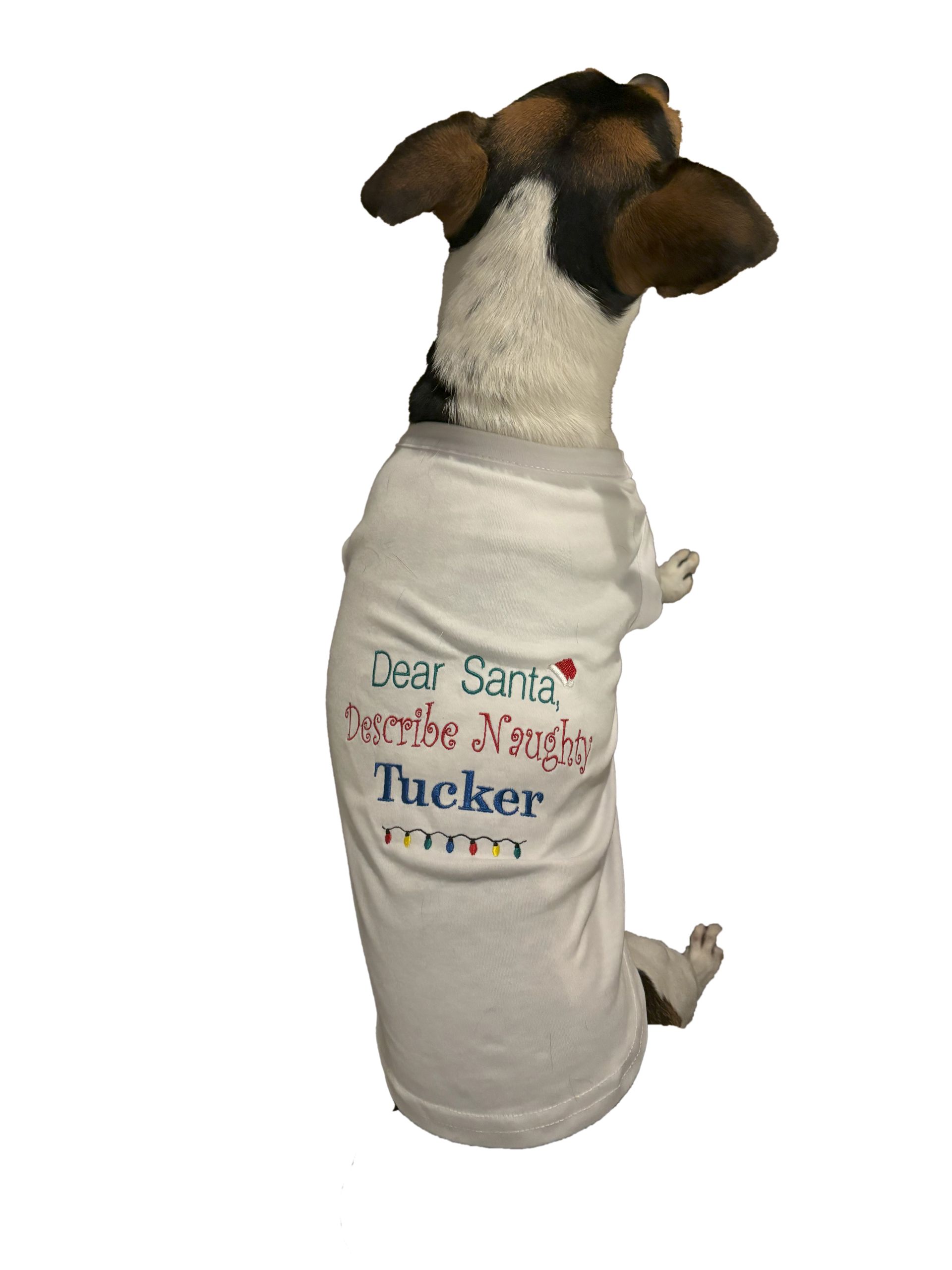 Pet T-Shirt with Dear Santa Message and Name Embroidered.