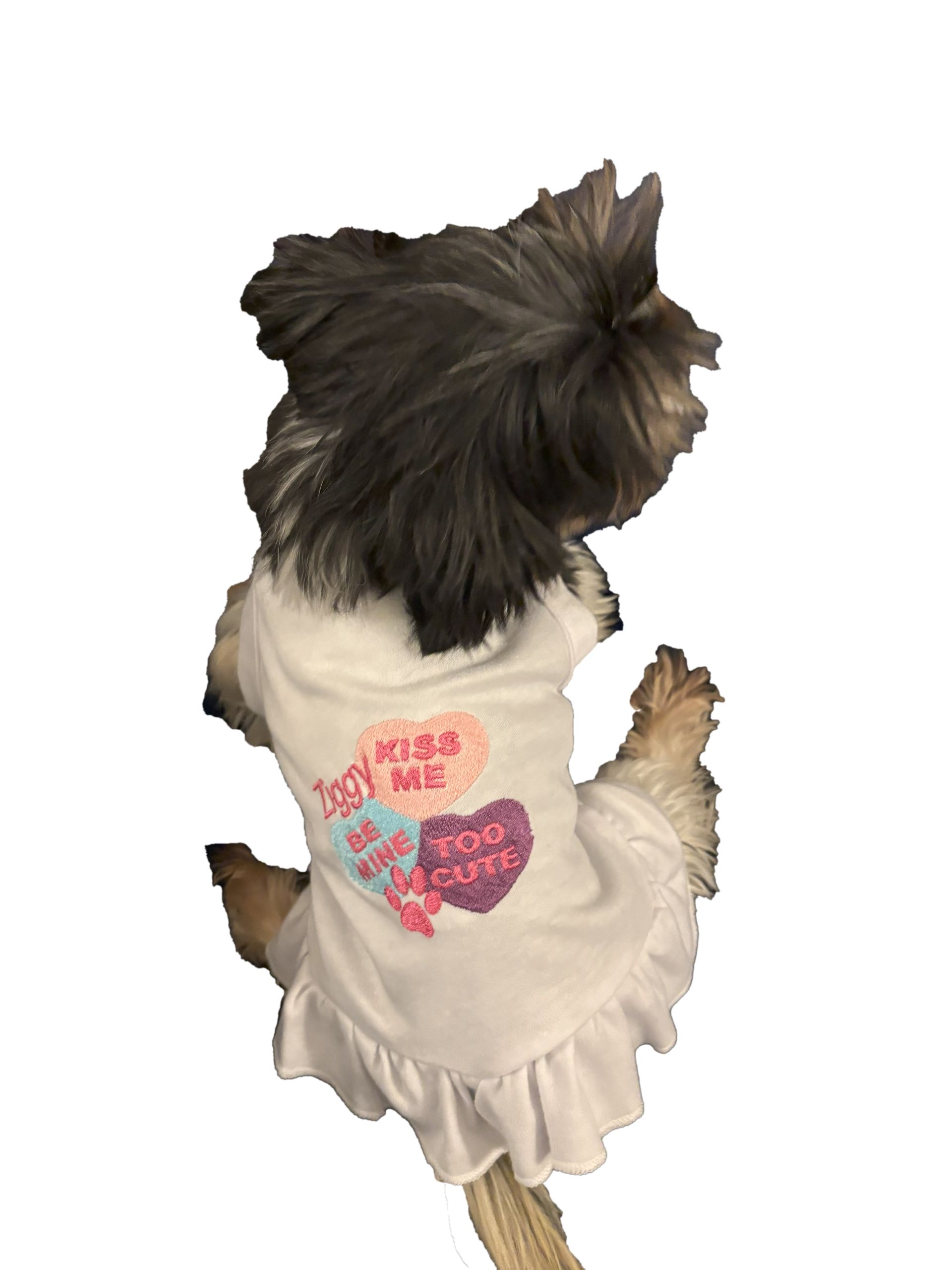Pet Dress with Valentines Design and Name Embroidered