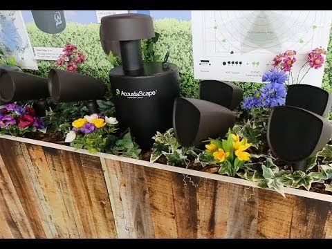 resolution sight sound