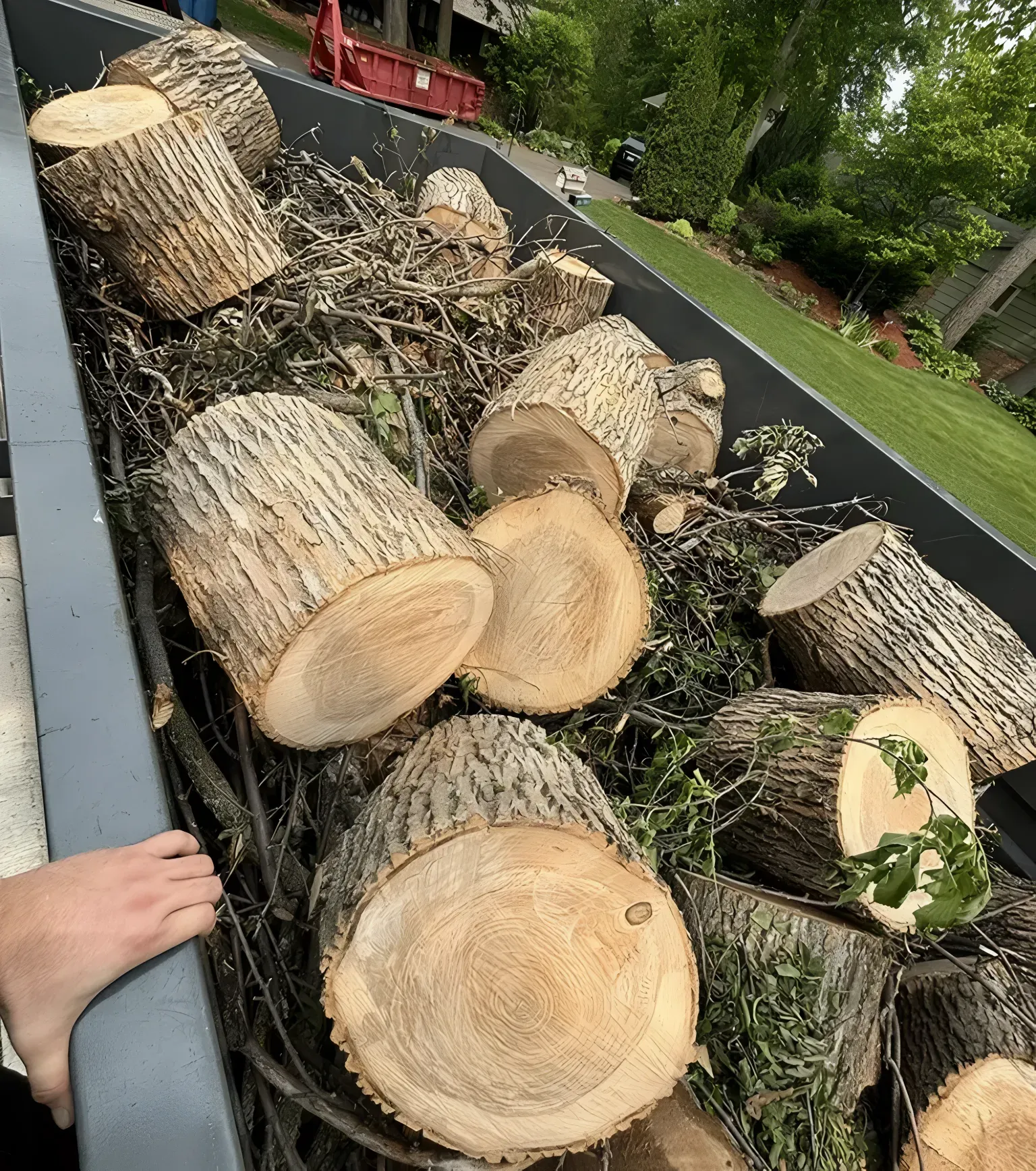 Logs and branches fill a dumpster, with a hand visible.