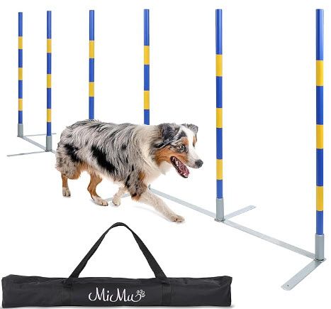 weave poles for dog agility training