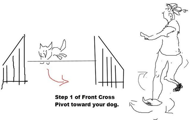 Front Cross - Dog agility clicker training 