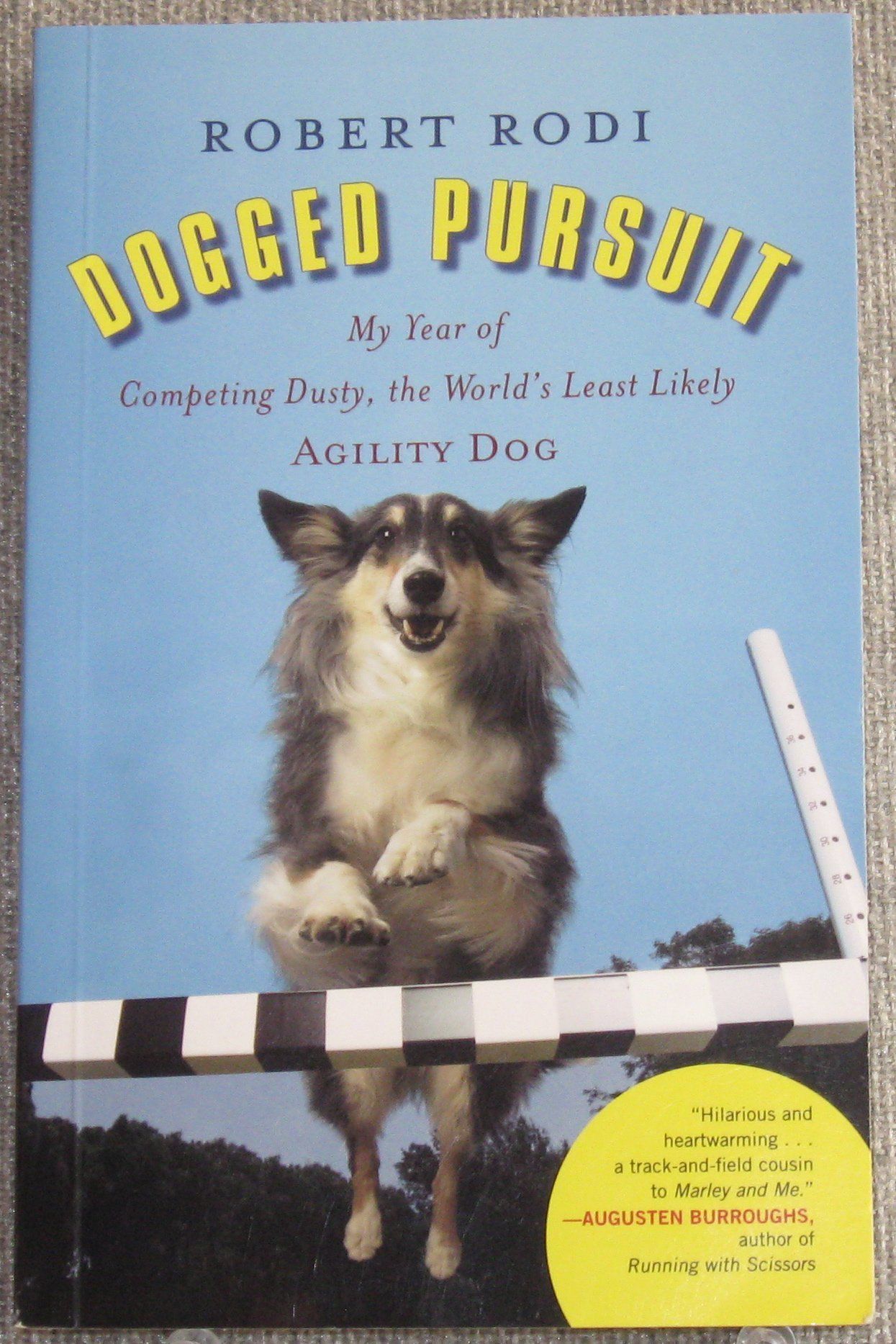 dog agility books