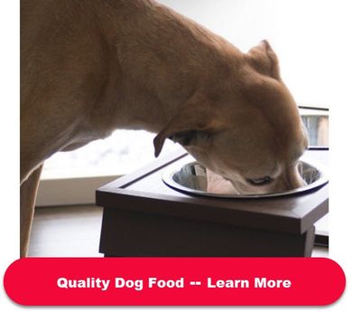 Quality Dog Food on Amazon