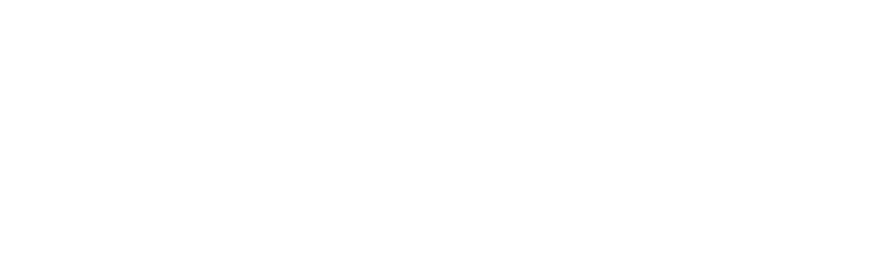 the carpet cleaners inc logo