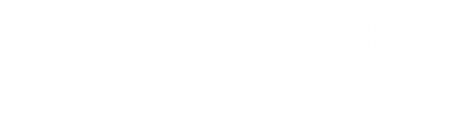 THE CARPET CLEANERS INC LOGO