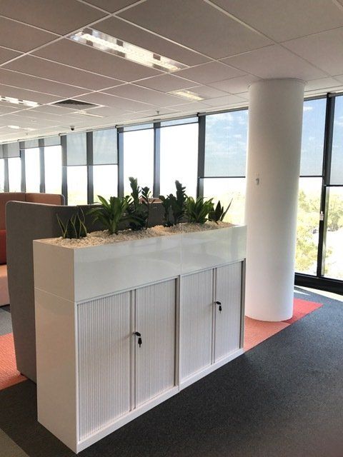 Building Entrance After — Gymea Bay, NSW — Office Oasis Indoor Plant Hire