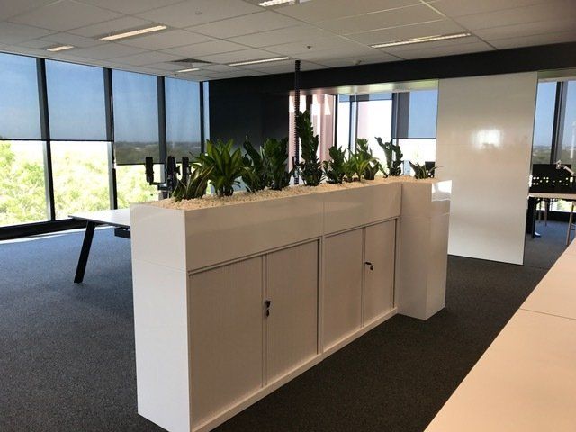 Building Lobby After — Gymea Bay, NSW — Office Oasis Indoor Plant Hire