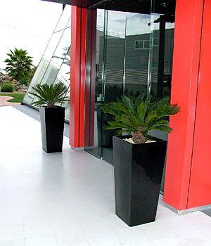 Building Entrance After — Gymea Bay, NSW — Office Oasis Indoor Plant Hire
