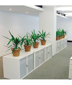 Office Cabinets After — Gymea Bay, NSW — Office Oasis Indoor Plant Hire