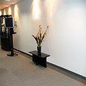 Office Hallway Before — Gymea Bay, NSW — Office Oasis Indoor Plant Hire