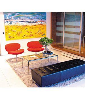 Bonsai — Gymea Bay, NSW — Office Oasis Indoor Plant Hire