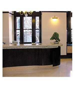 Bonsai at the Office Reception — Gymea Bay, NSW — Office Oasis Indoor Plant Hire