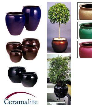 Ceramalite — Gymea Bay, NSW — Office Oasis Indoor Plant Hire
