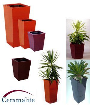Ceramalite Wedge — Gymea Bay, NSW — Office Oasis Indoor Plant Hire