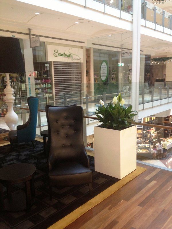 Steel Smart — Gymea Bay, NSW — Office Oasis Indoor Plant Hire
