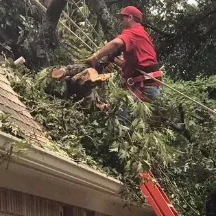 A man is cutting down a tree on the roof of a house.