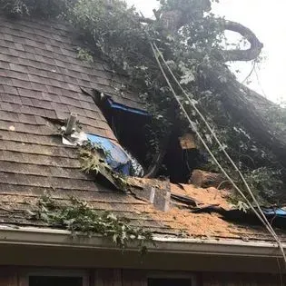 A tree has fallen on the roof of a house.